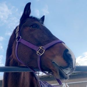 Meet your Posher, Katie